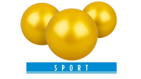 Bile cu vopsea Umarex T4E Sport PAB cal .43